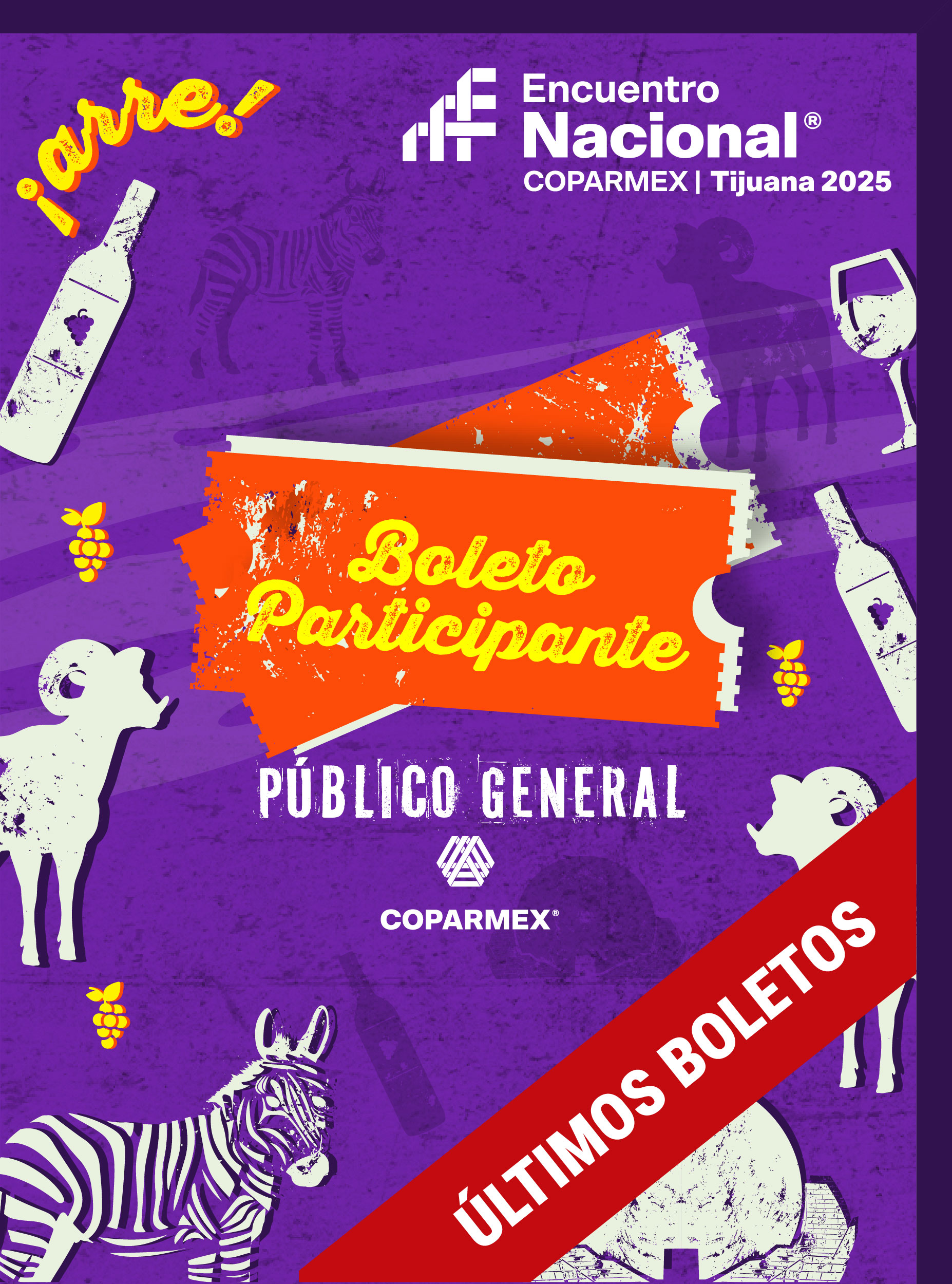 BOLETOS_Mesa de trabajo 1 copia